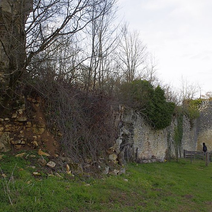 Photo de Château de la Renaudie