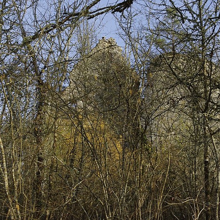 Photo de Château de la Renaudie