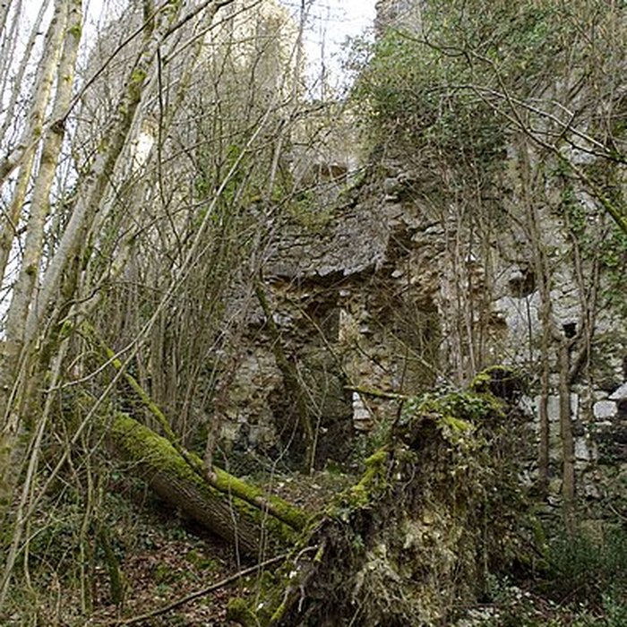 Photo de Château de la Renaudie