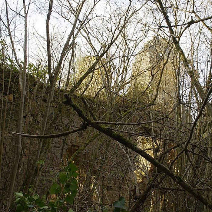 Photo de Château de la Renaudie