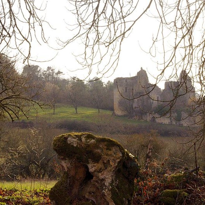 Photo de Château de la Renaudie