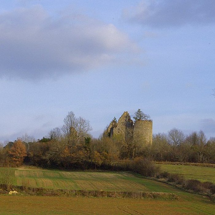 Photo de Château de la Renaudie
