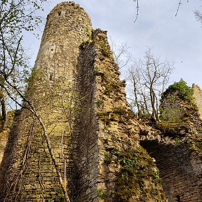 Photo de Château de la Renaudie