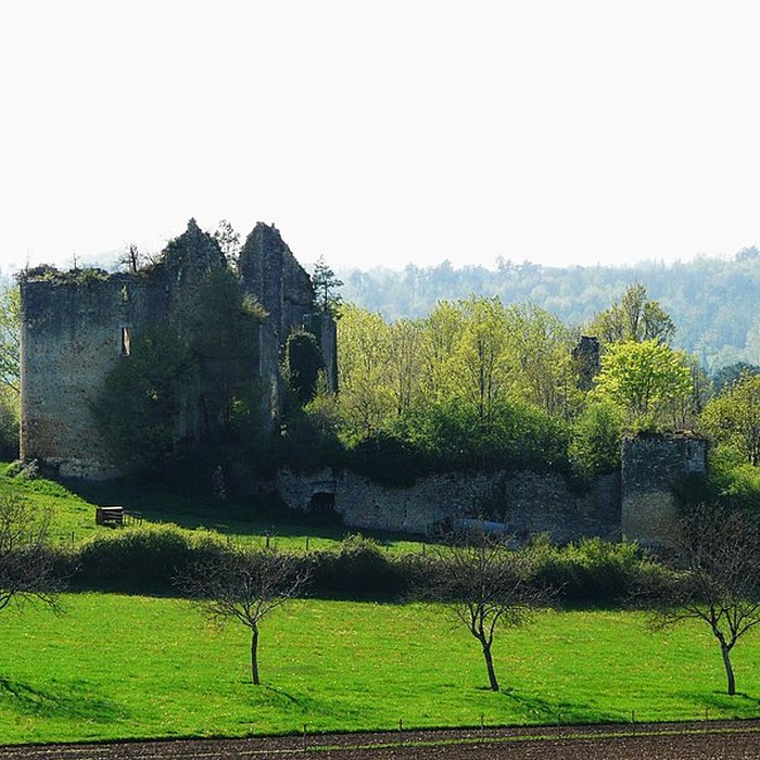 Photo de Château de la Renaudie