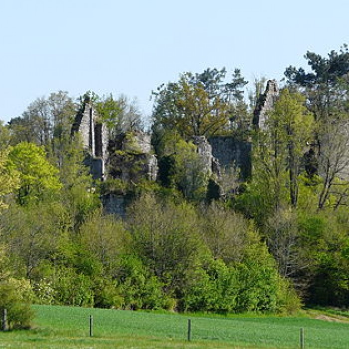 Photo de Château de la Renaudie