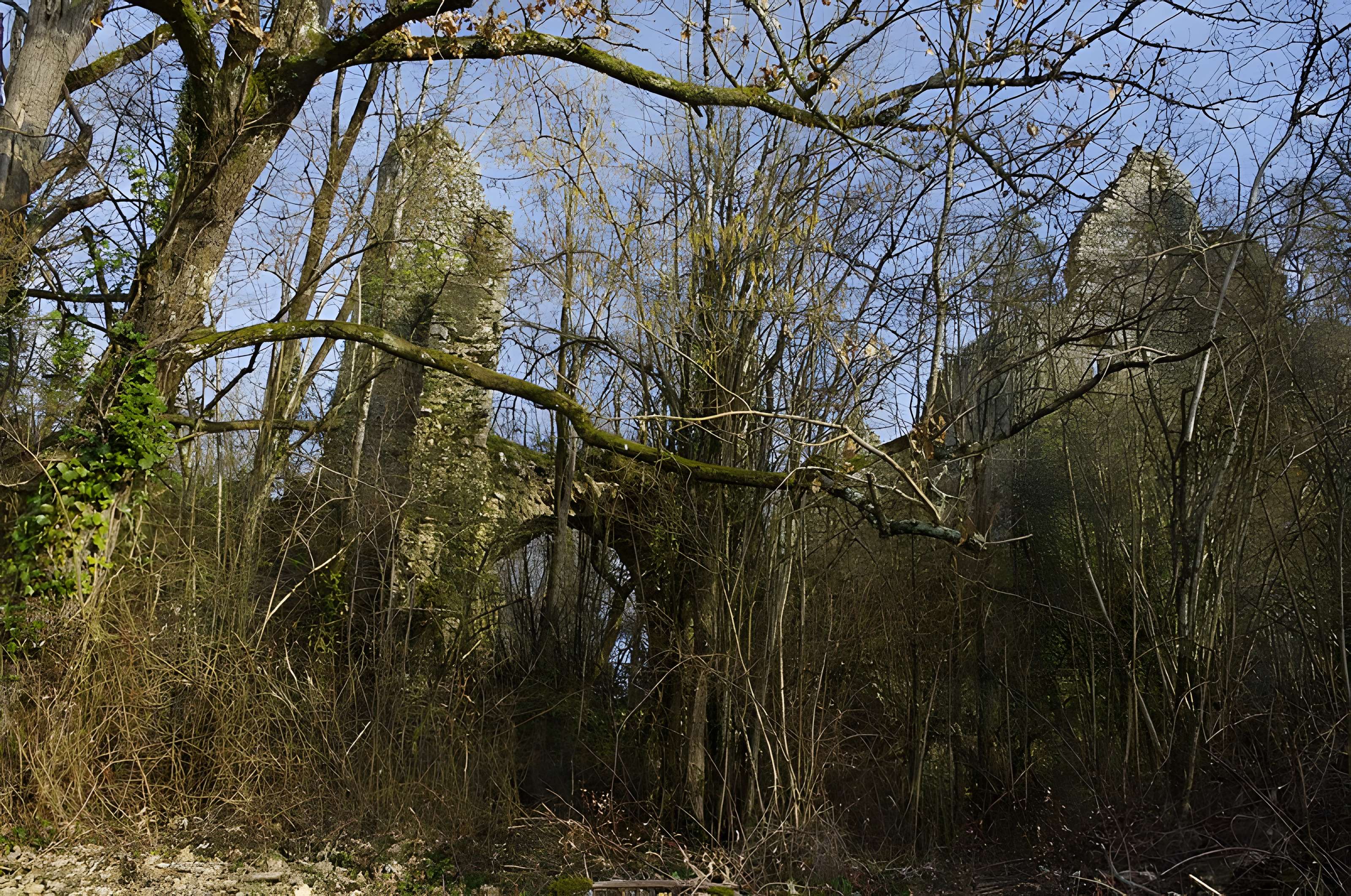 Château de la Renaudie