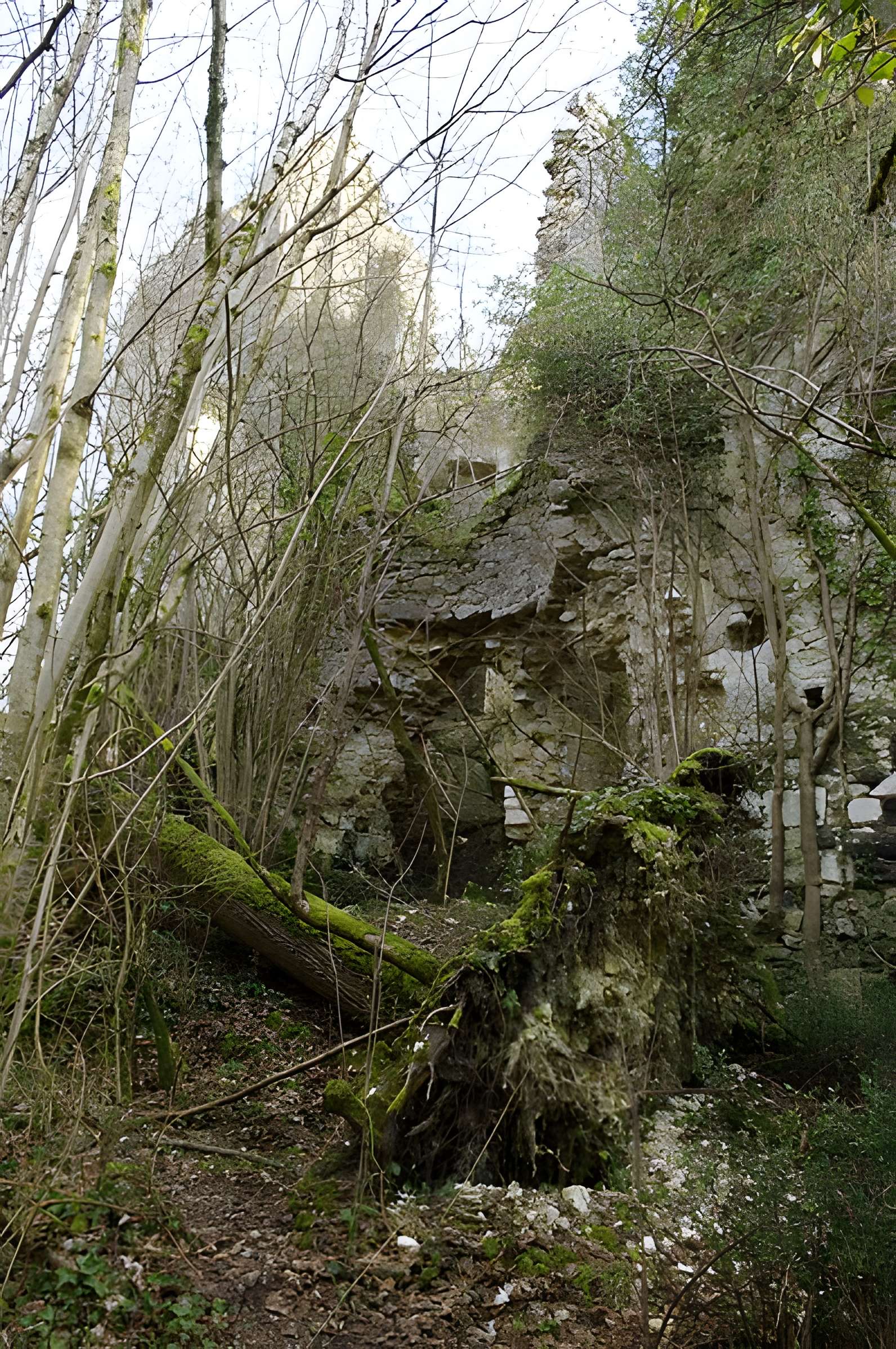 Château de la Renaudie