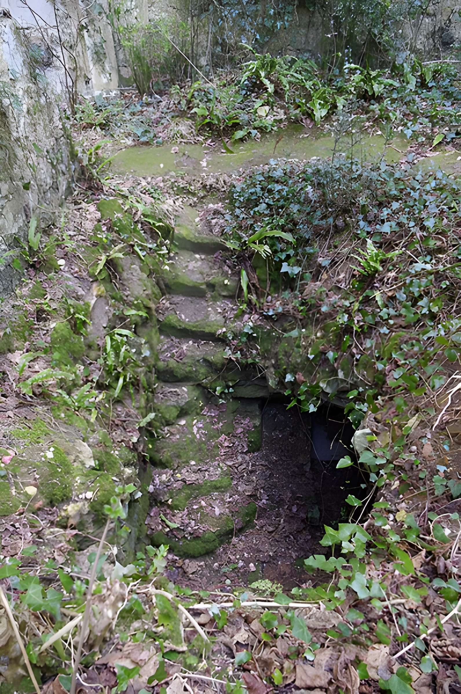 Château de la Renaudie