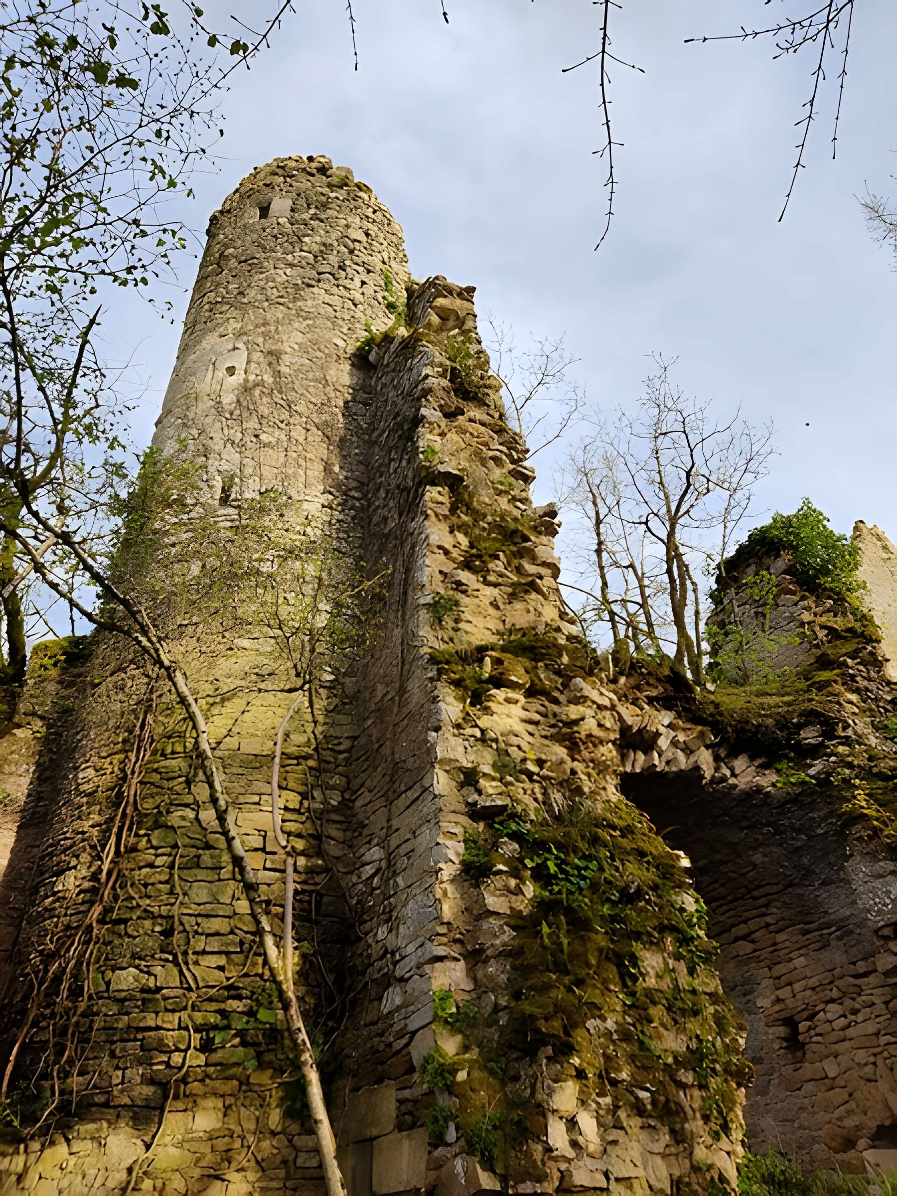 Château de la Renaudie