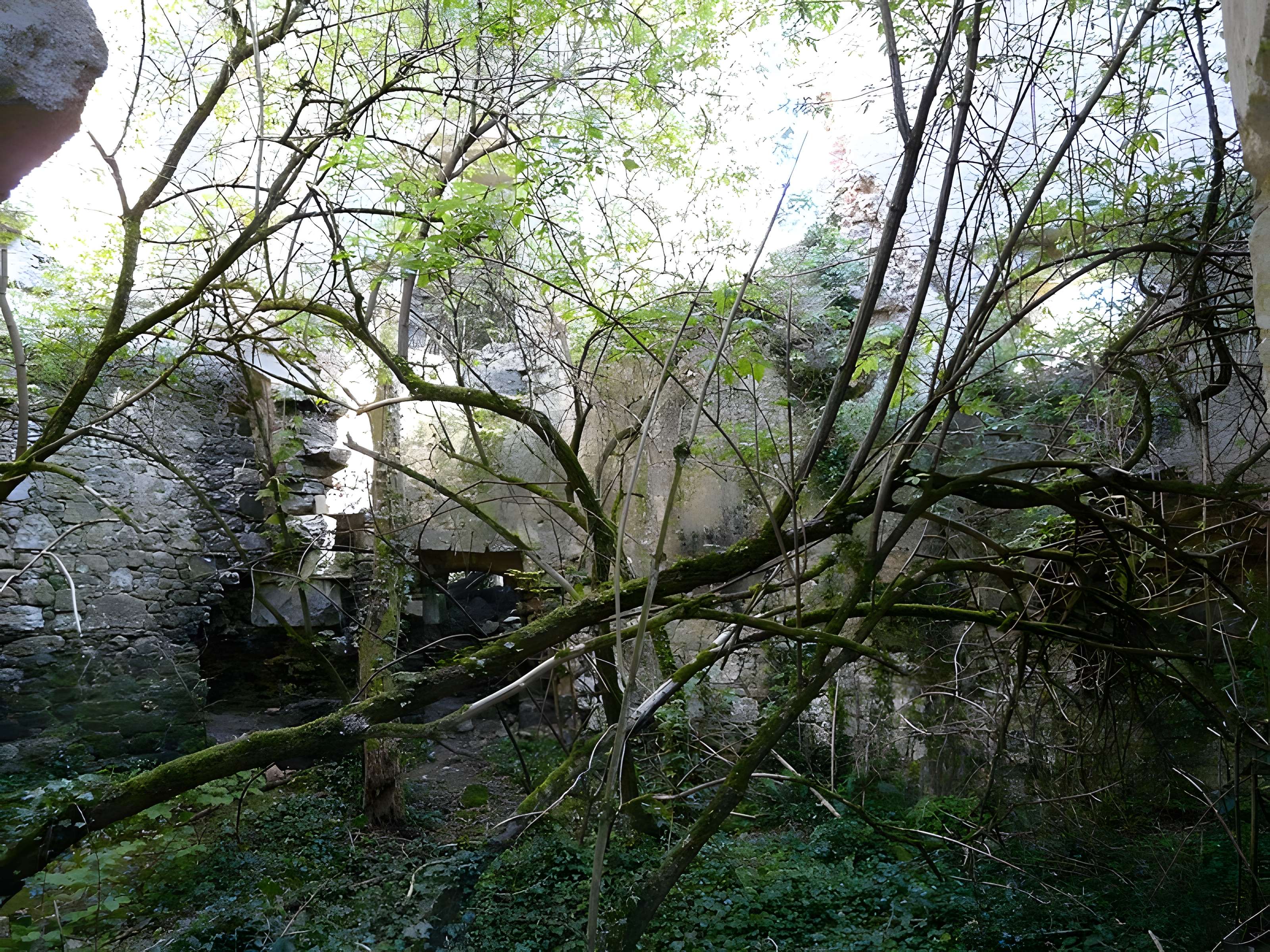 Château de la Renaudie