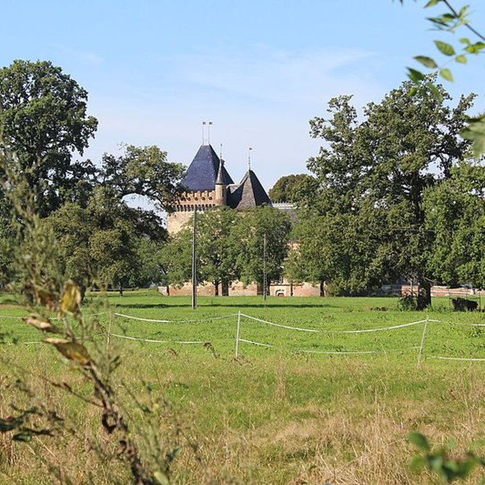 Photo de Château de Loriol