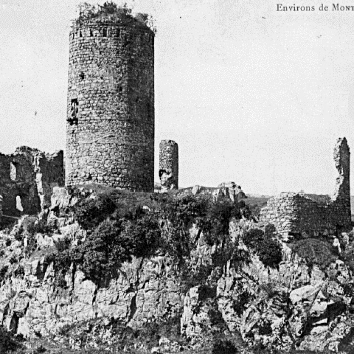 Photo de Château de lOurs