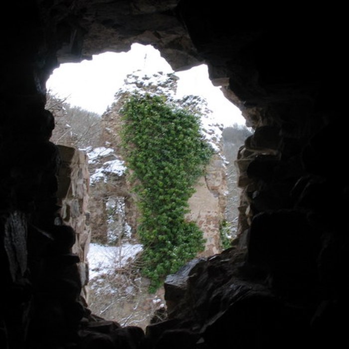 Photo de Château de lOurs