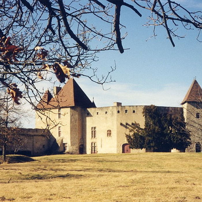 Photo de Château de La Roche à Chaptuzat
