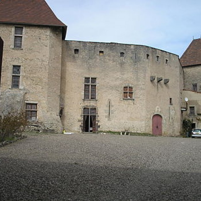 Photo de Château de La Roche à Chaptuzat