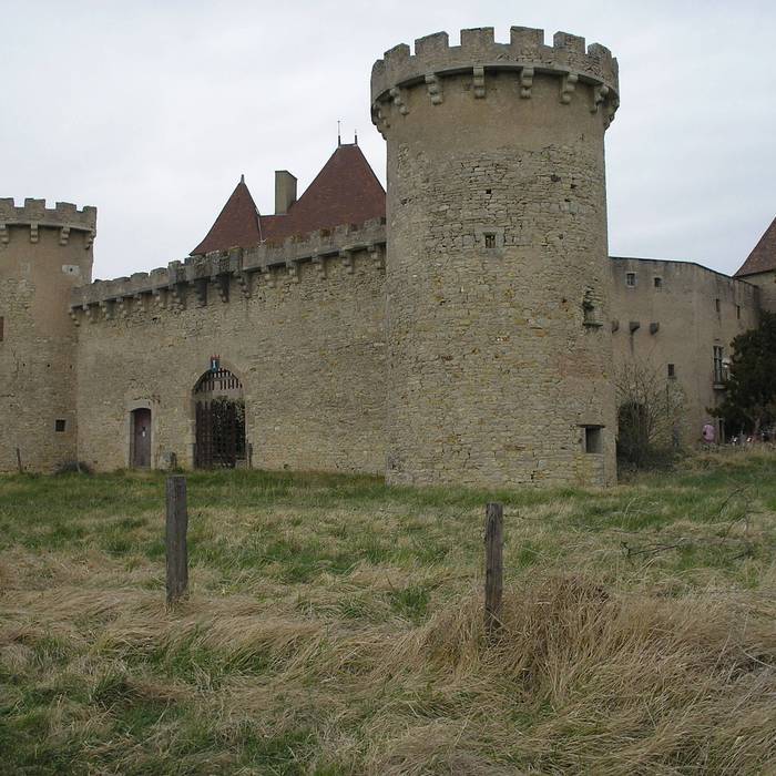Photo de Château de La Roche a Chaptuzat