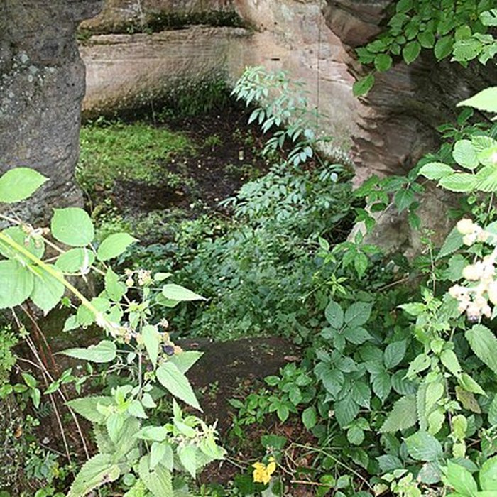 Photo de Château de Lutzelhardt