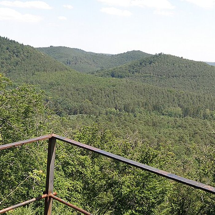 Photo de Château de Lutzelhardt