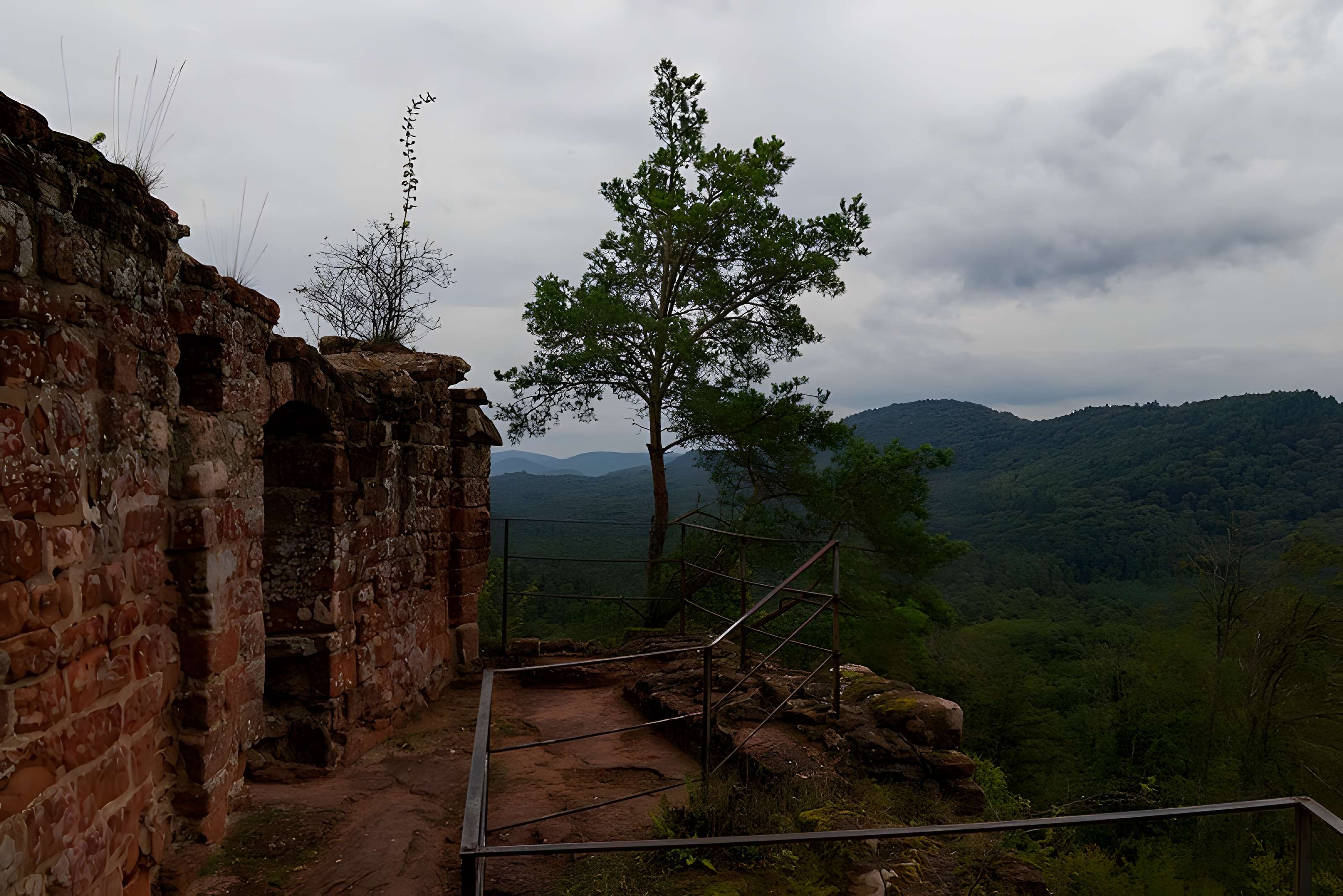 Château de Lutzelhardt