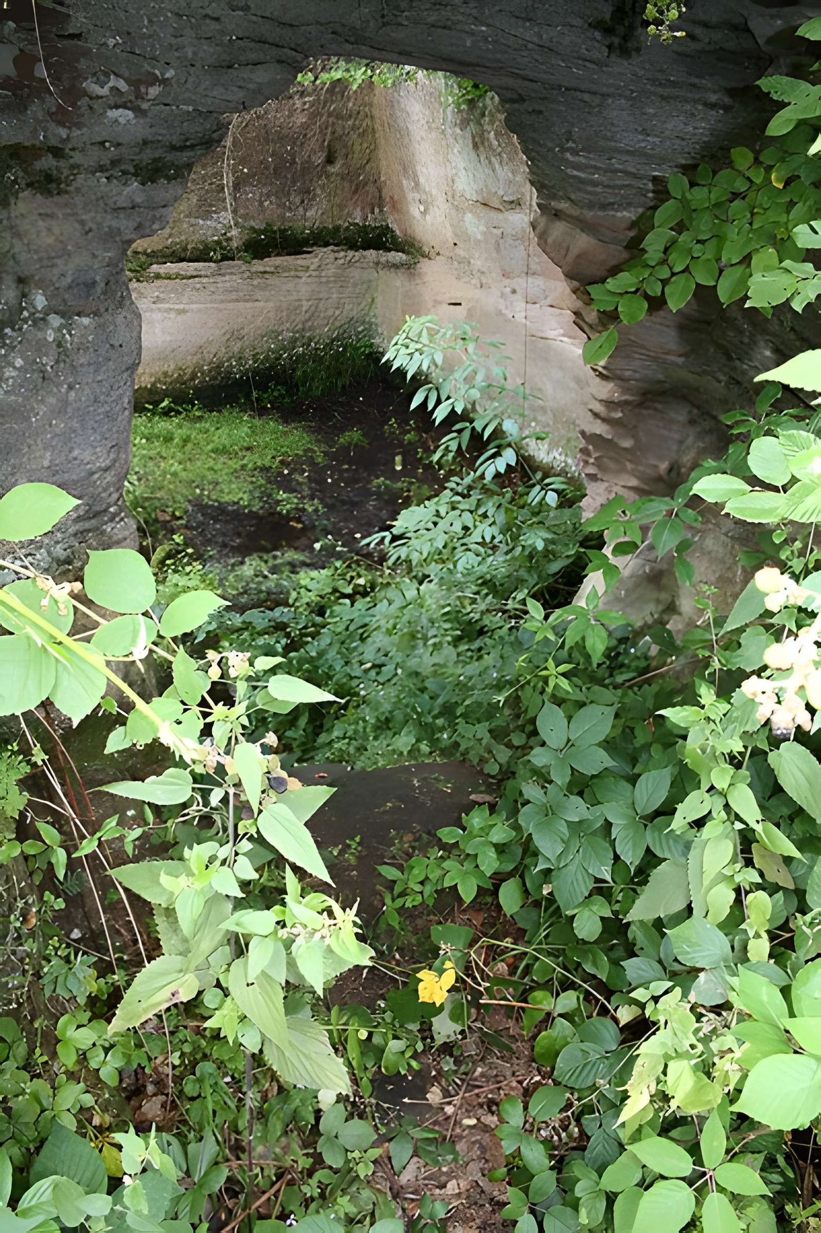 Château de Lutzelhardt