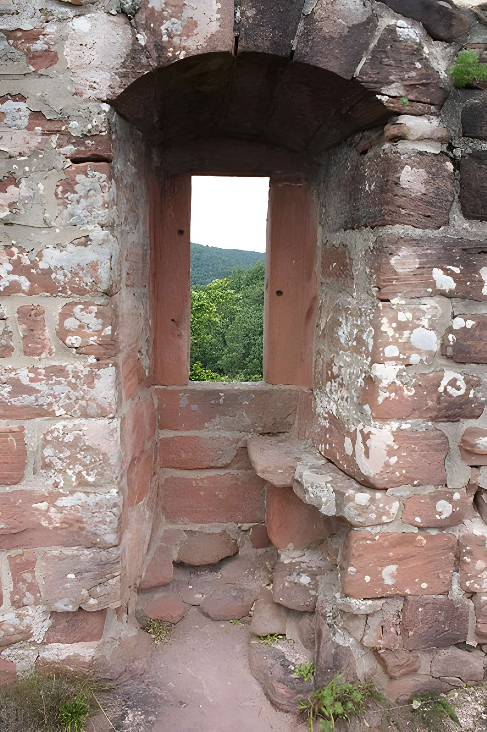 Château de Lutzelhardt