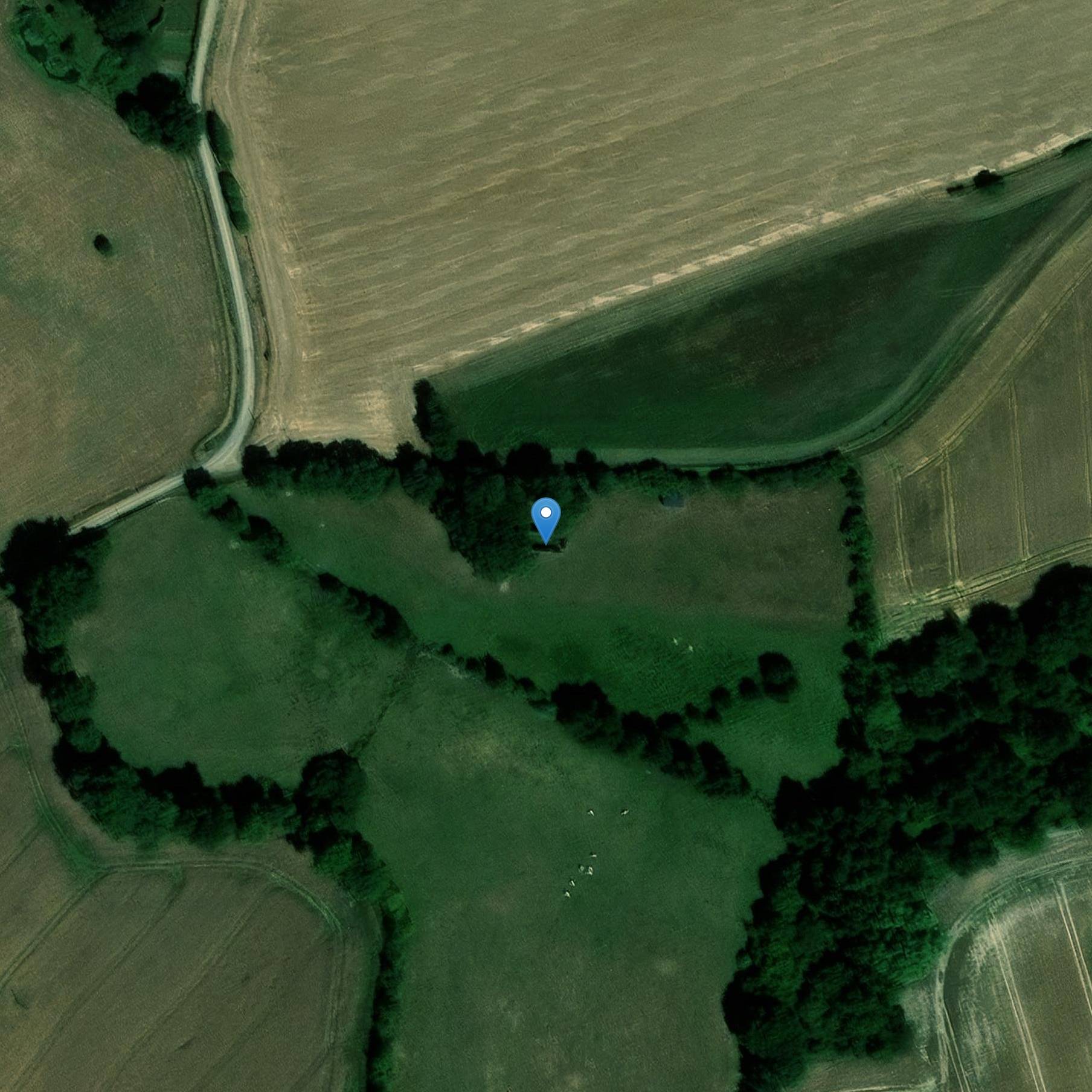 Photo de Chiesa di Santa Aubin du Petit Champrond