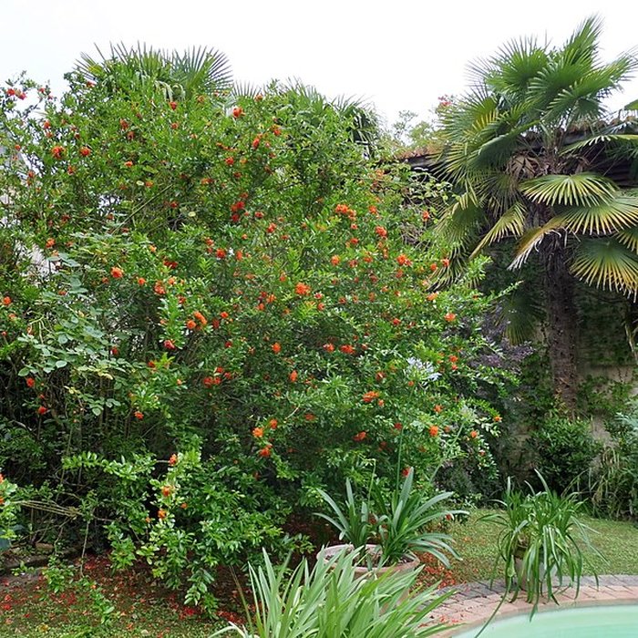Photo de Château de Malleret