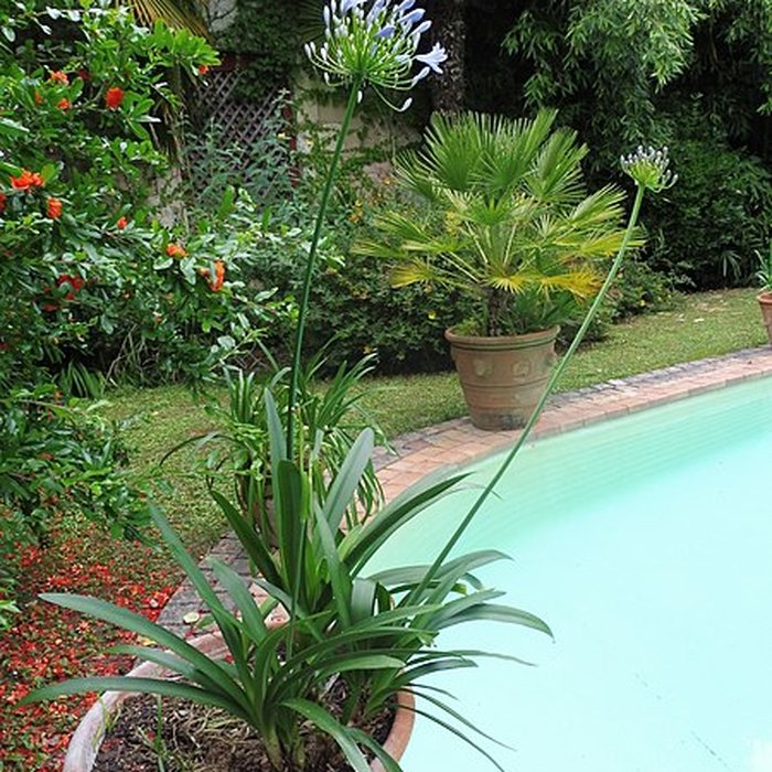 Photo de Château de Malleret