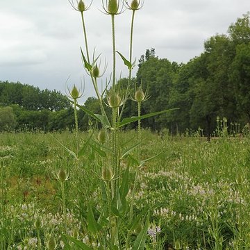 Château de Malleret