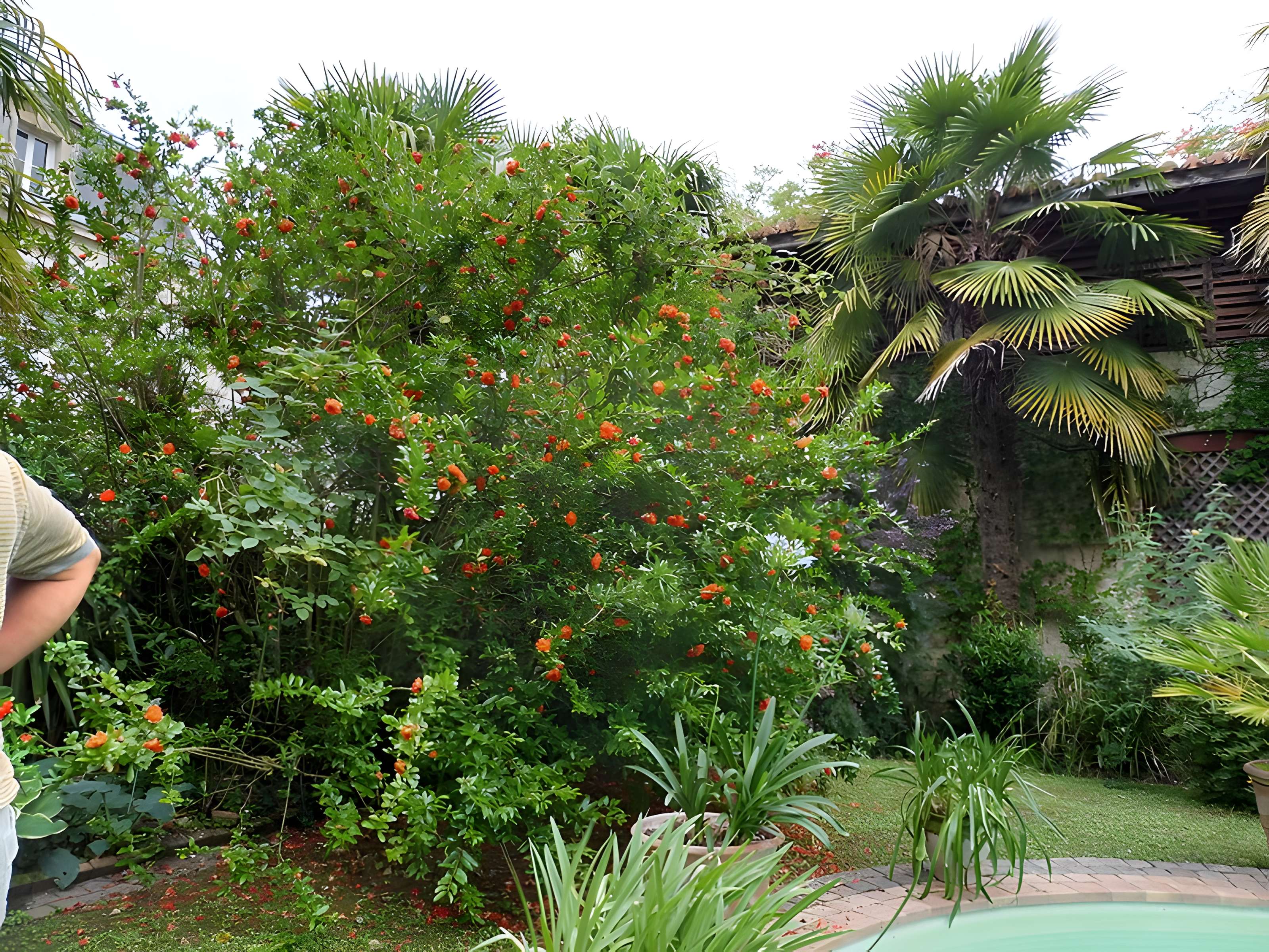 Château de Malleret