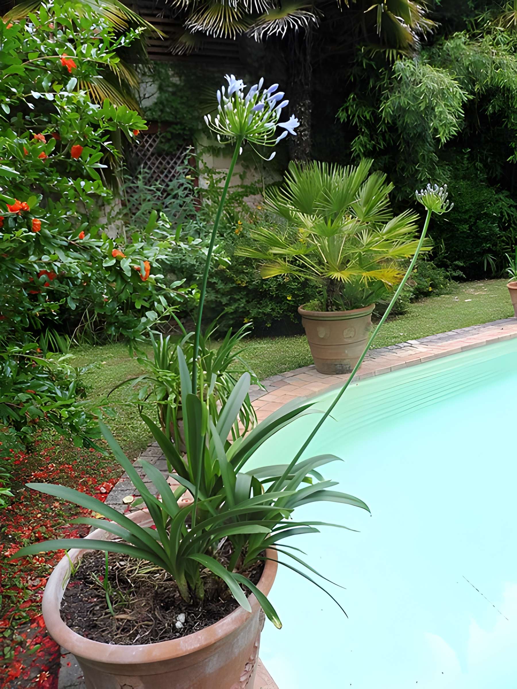 Château de Malleret