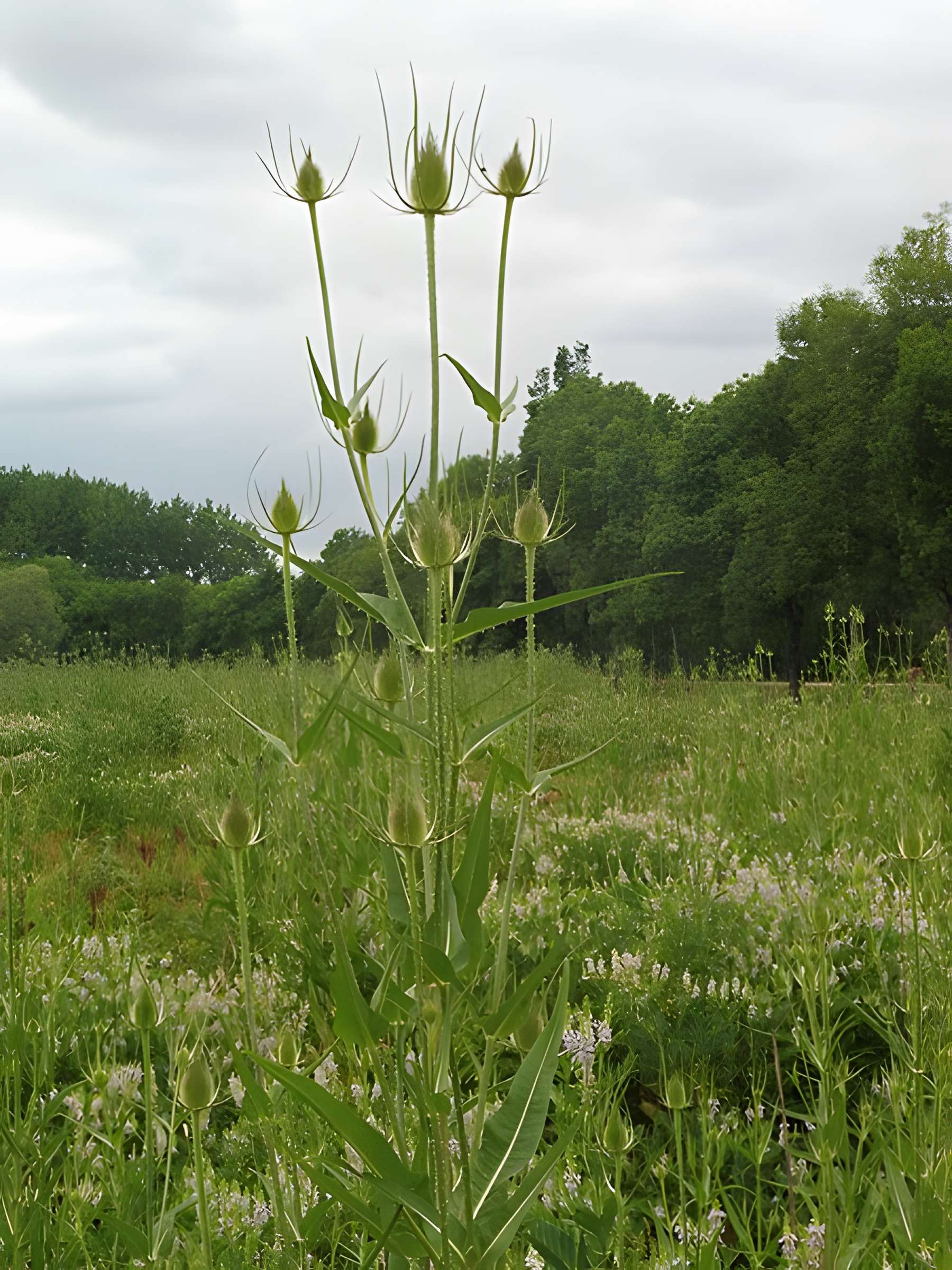 Château de Malleret