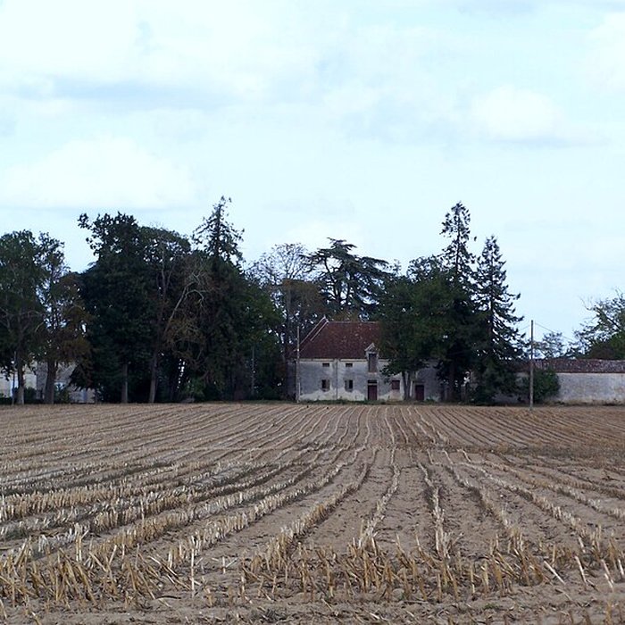 Photo de Château de Marcellus