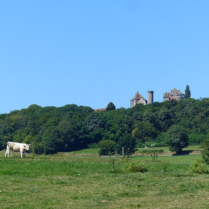 Photo de Château de Marigny