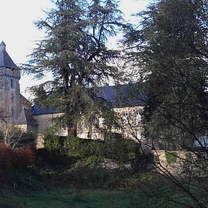 Photo de Château de Massenon