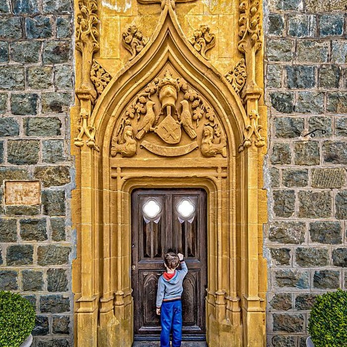 Photo de Château de La Roche Courbon