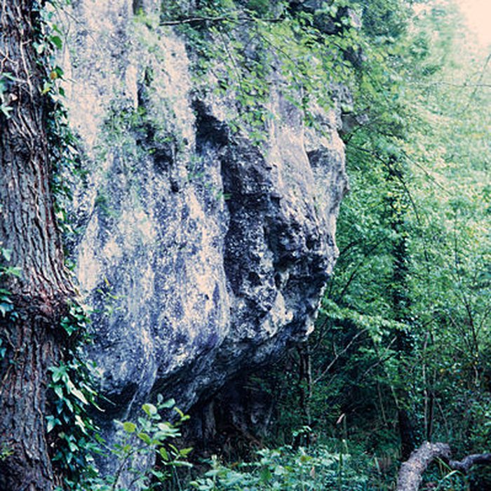 Photo de Château de La Roche Courbon
