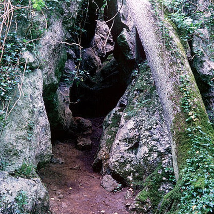 Photo de Château de La Roche Courbon