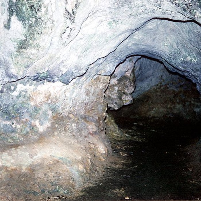 Photo de Château de La Roche Courbon