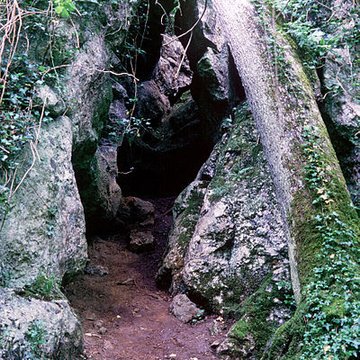 Château de La Roche Courbon