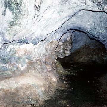 Château de La Roche Courbon