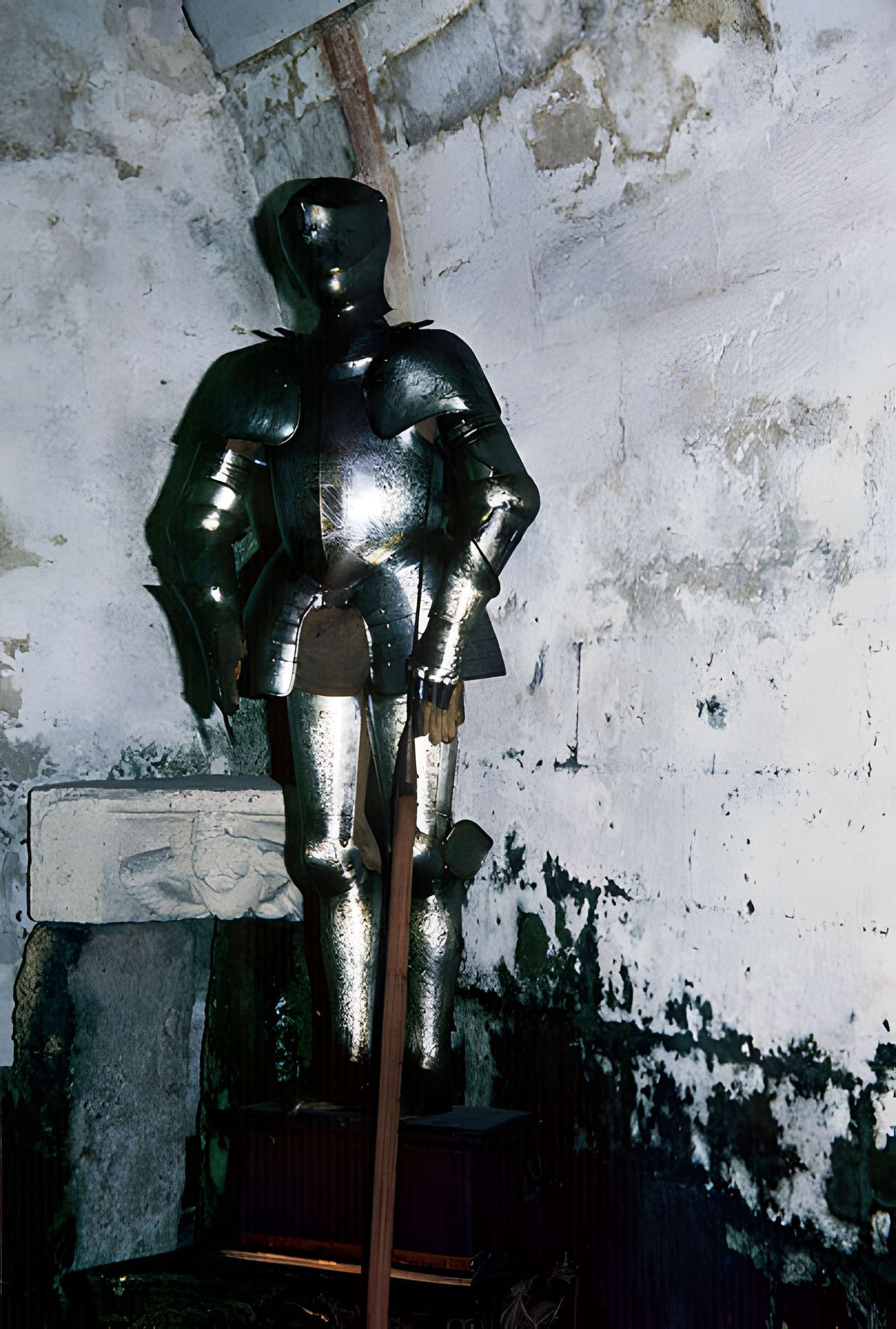 Château de La Roche Courbon