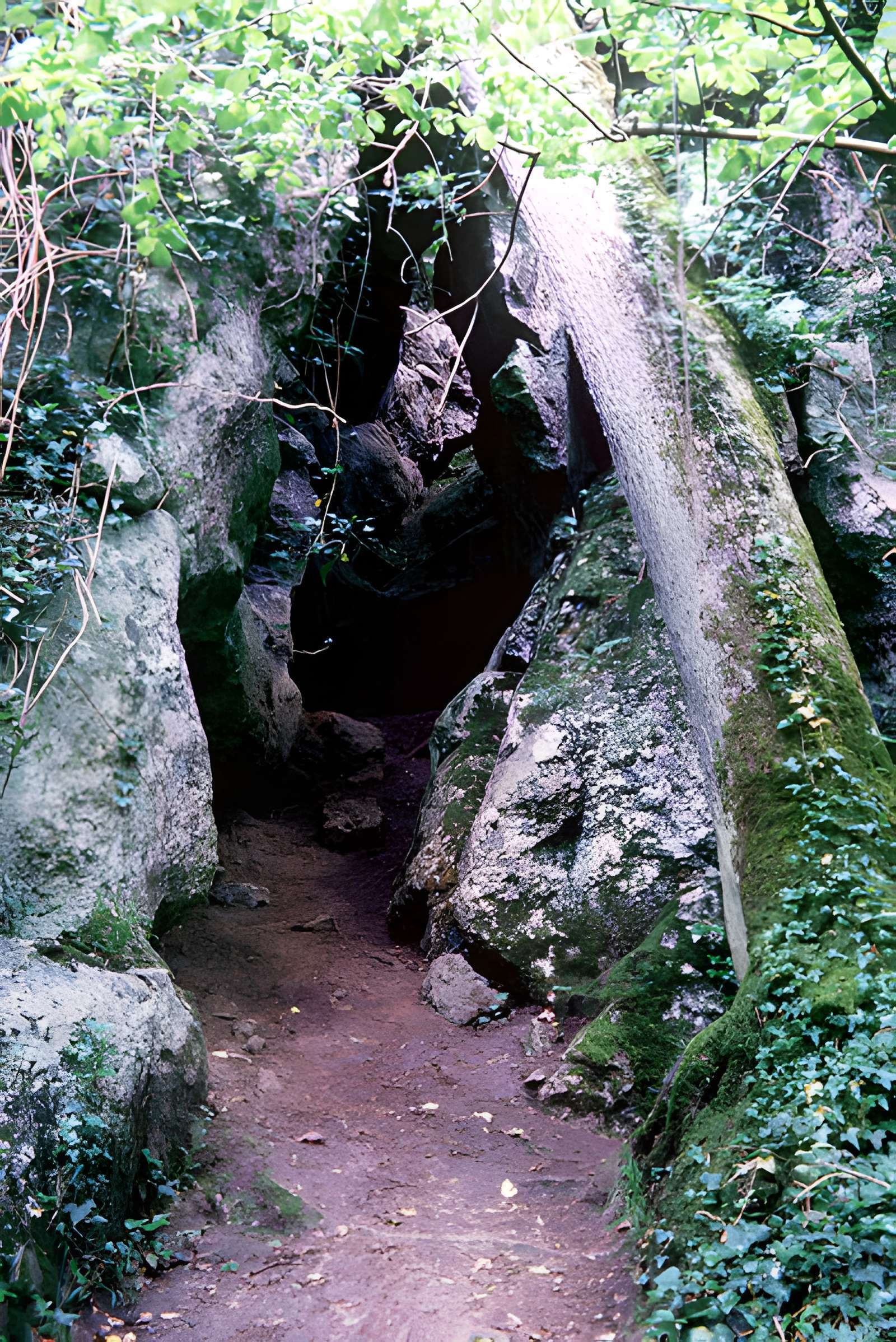 Château de La Roche Courbon