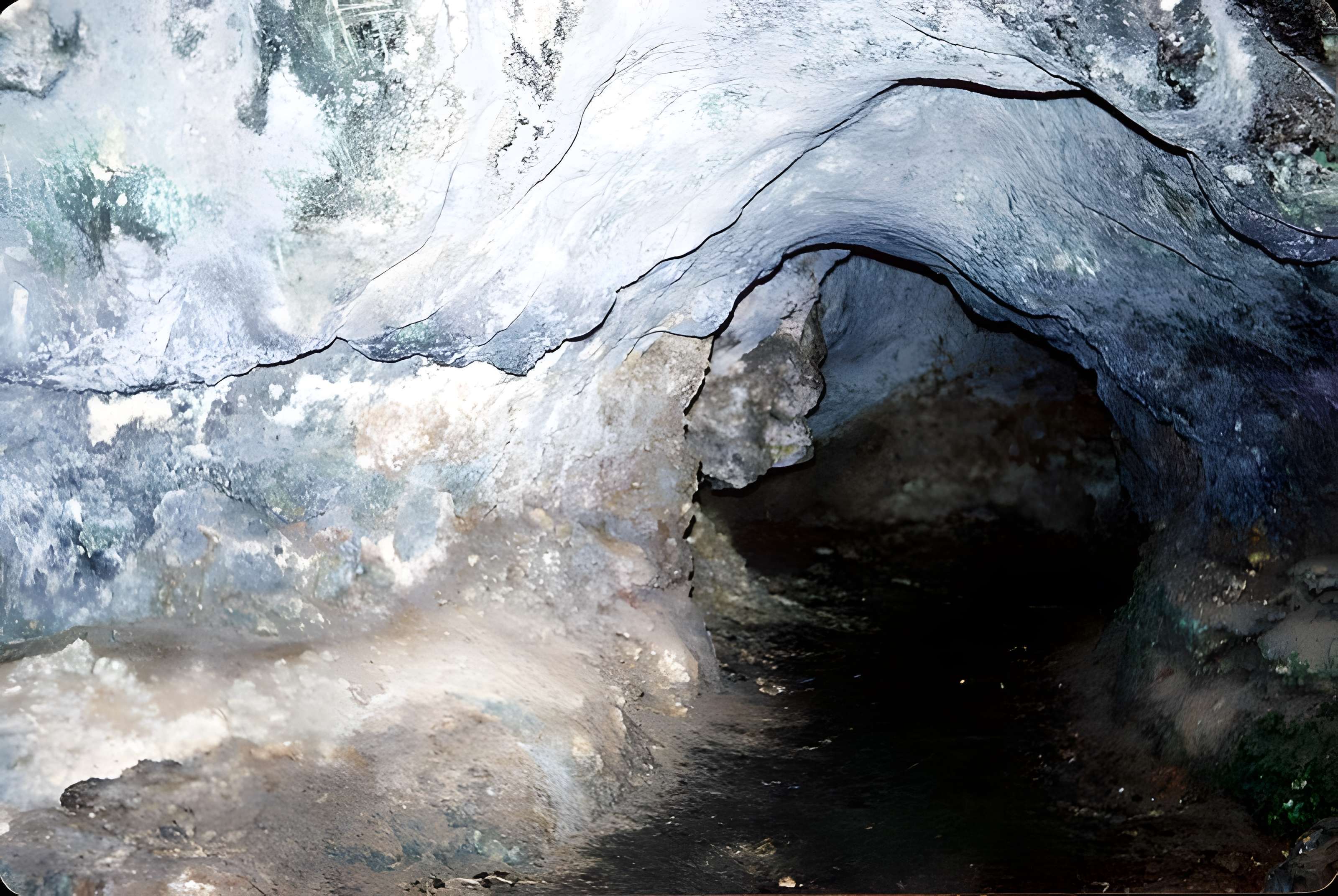 Château de La Roche Courbon