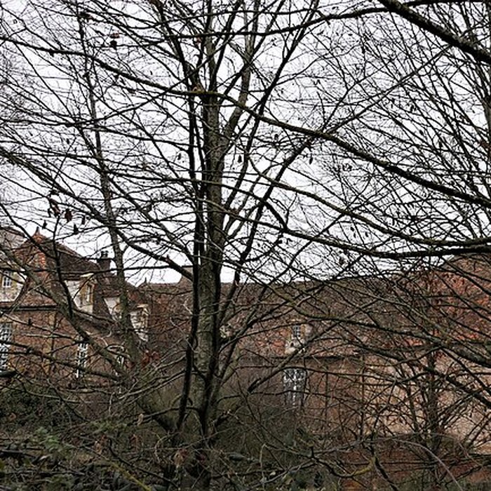 Photo de Château de Maulevrier