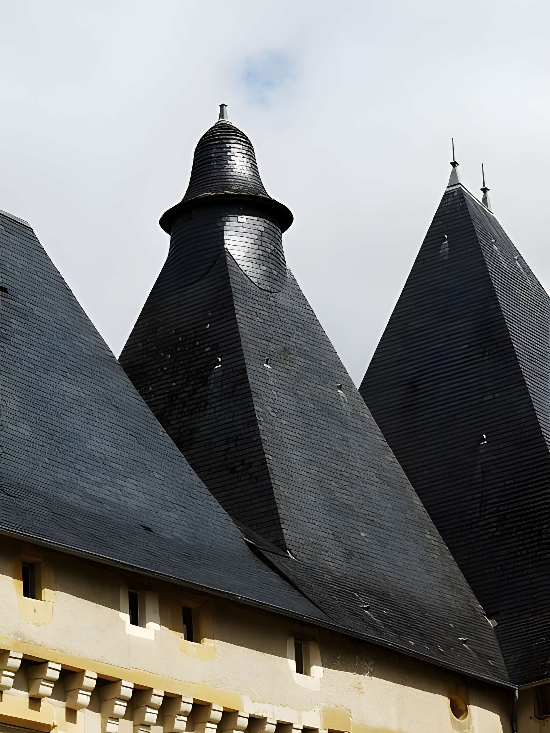 Château de Mavaleix