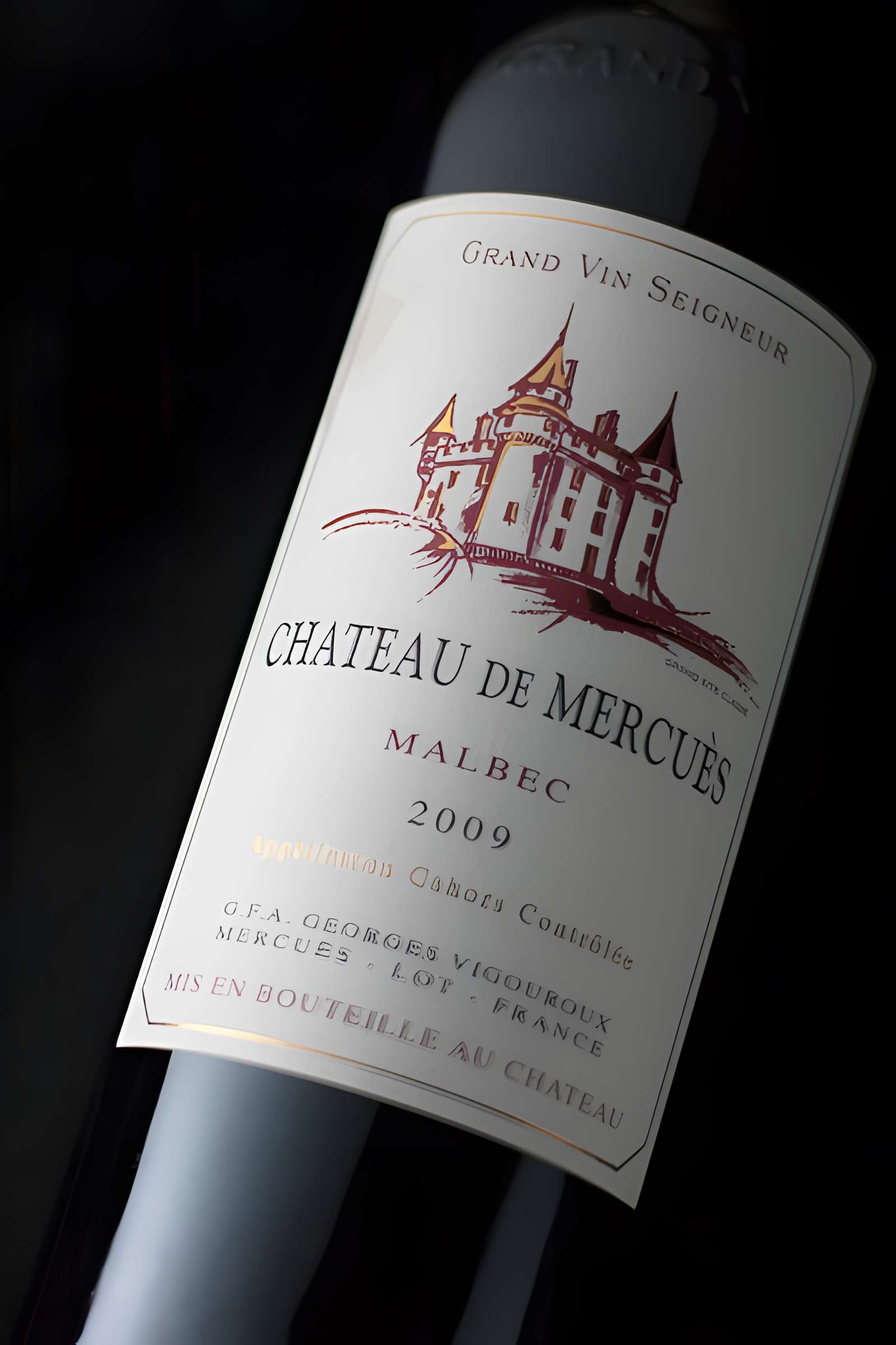 Château de Mercuès