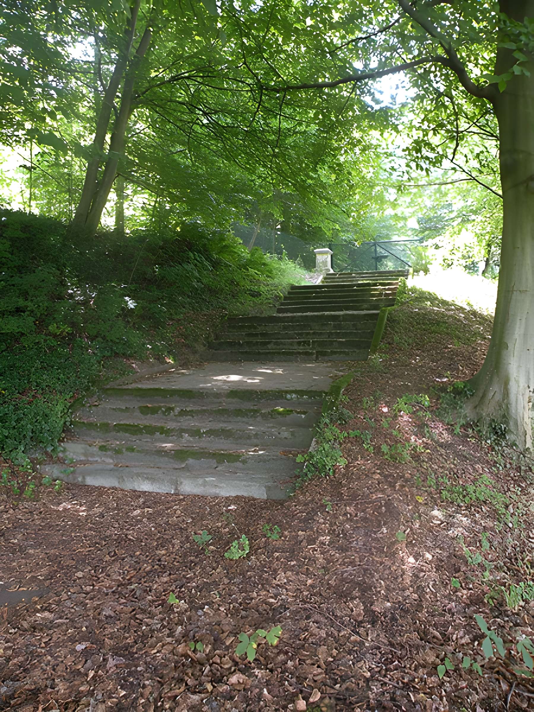Château de Merlemont