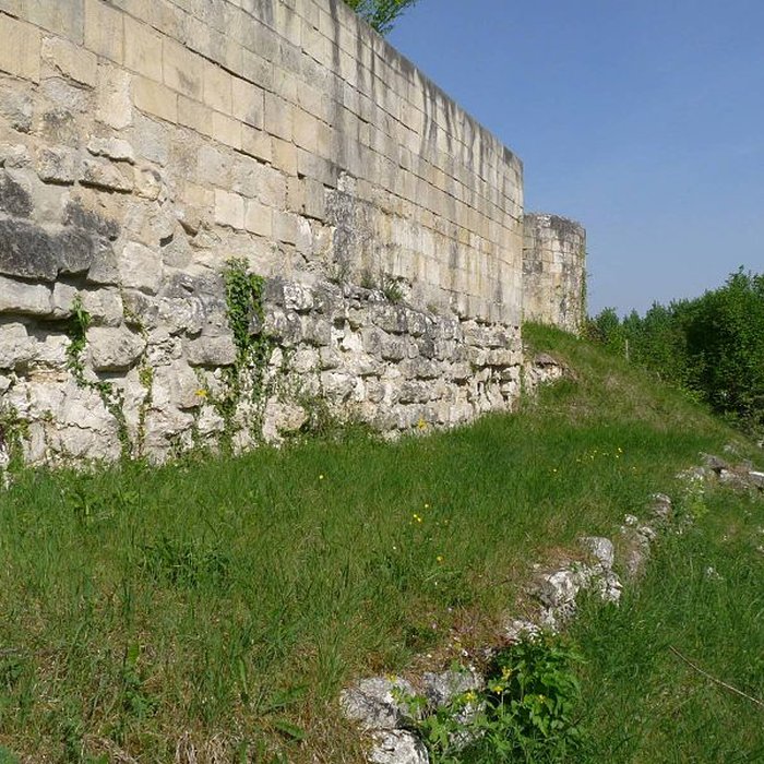 Photo de Château de Merpins