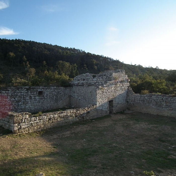 Photo de Restes du château de Miramont
